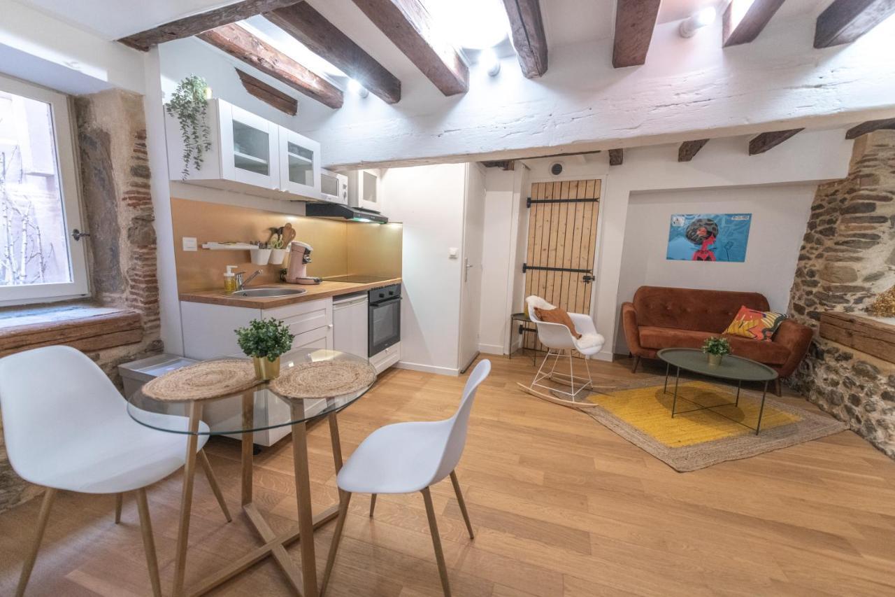 Cosylocation - Chaleureux - Hypercentre Apartment Виен Екстериор снимка